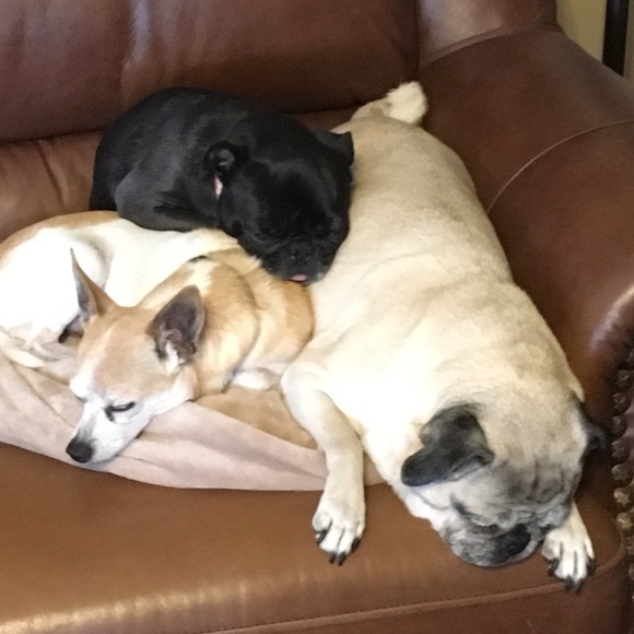 Meet your Posher, Tina - Picture 3 of 16